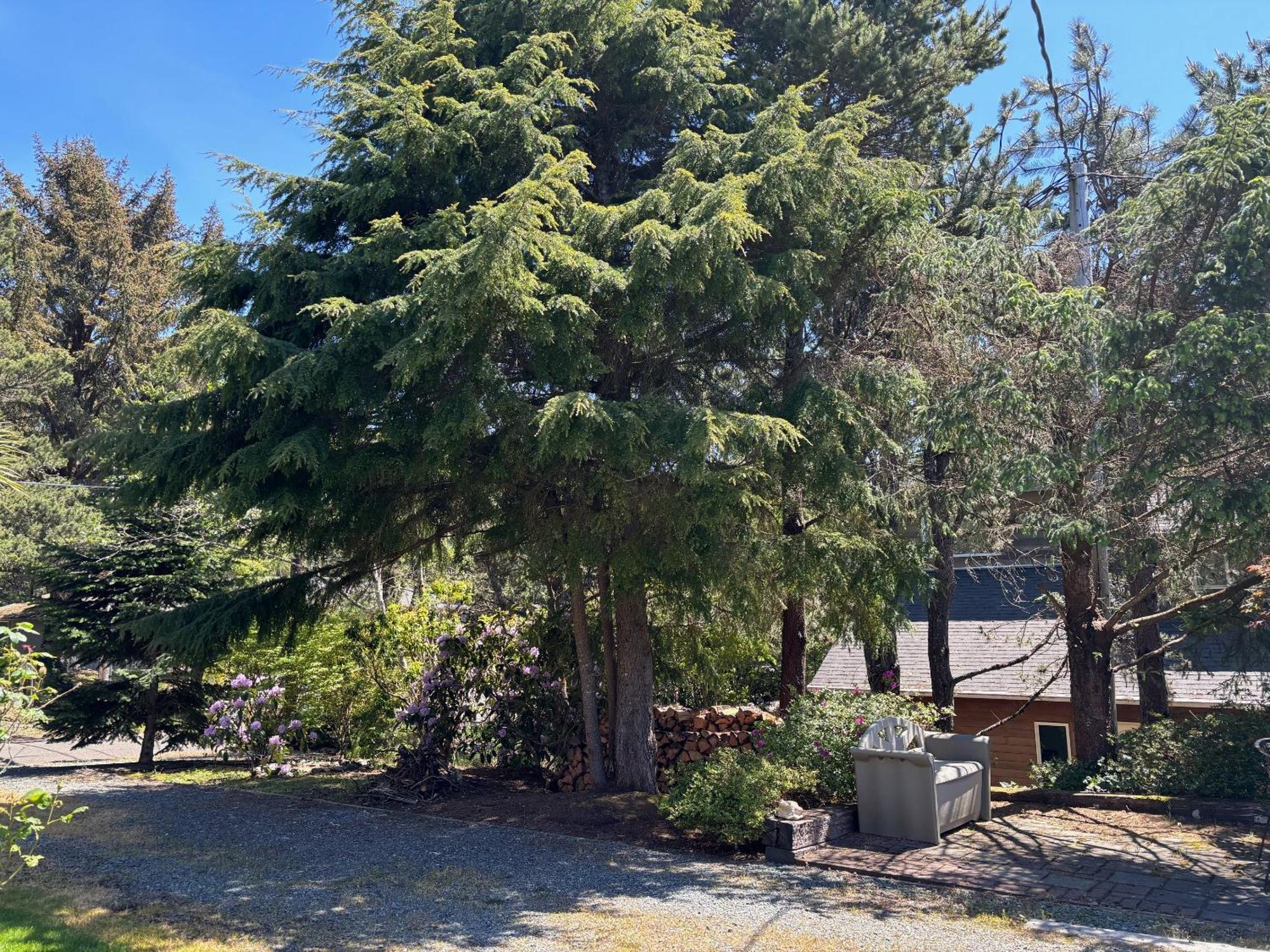 San Dune Inn Manzanita Zewnętrze zdjęcie